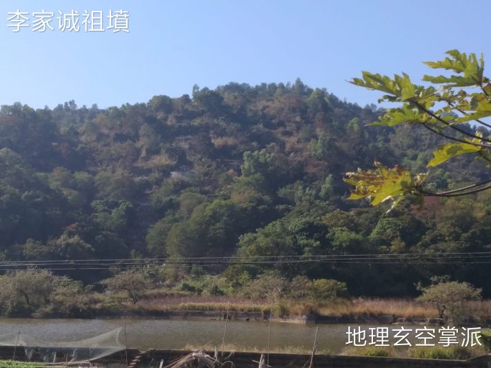 Yuen4-6