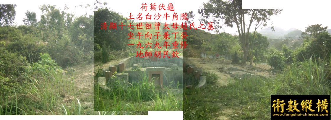 10_113.jpg