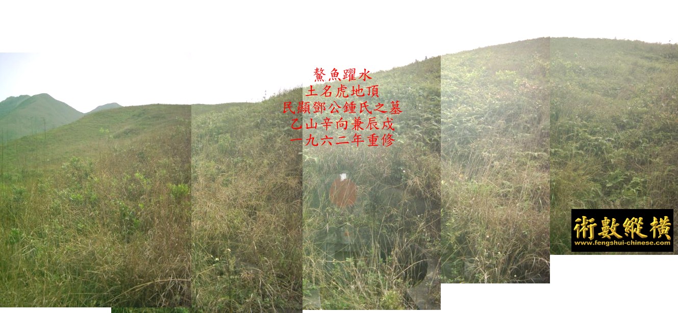 10_127.jpg
