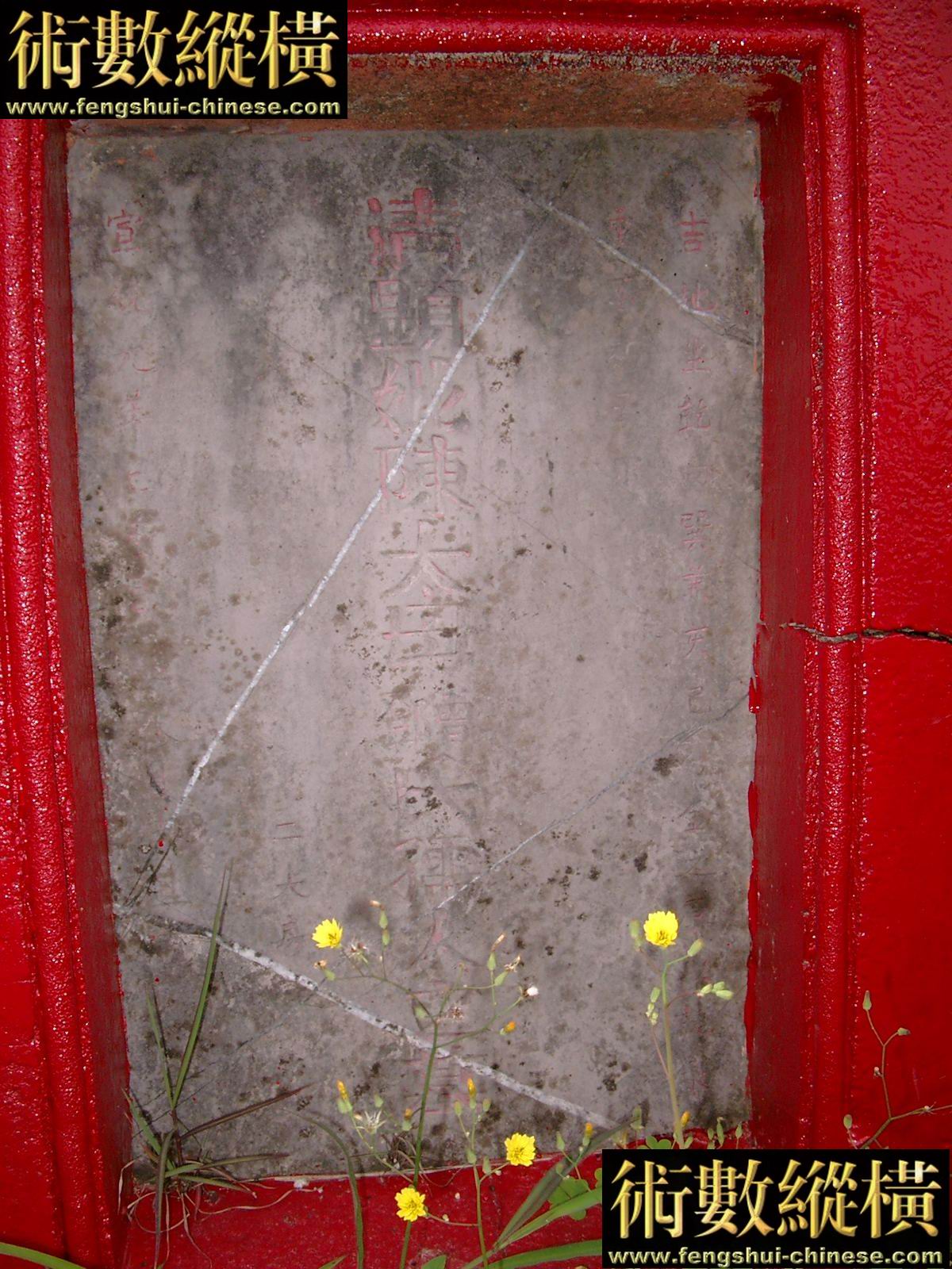 10_156.jpg