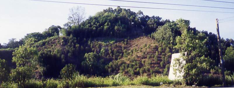 10_204.jpg