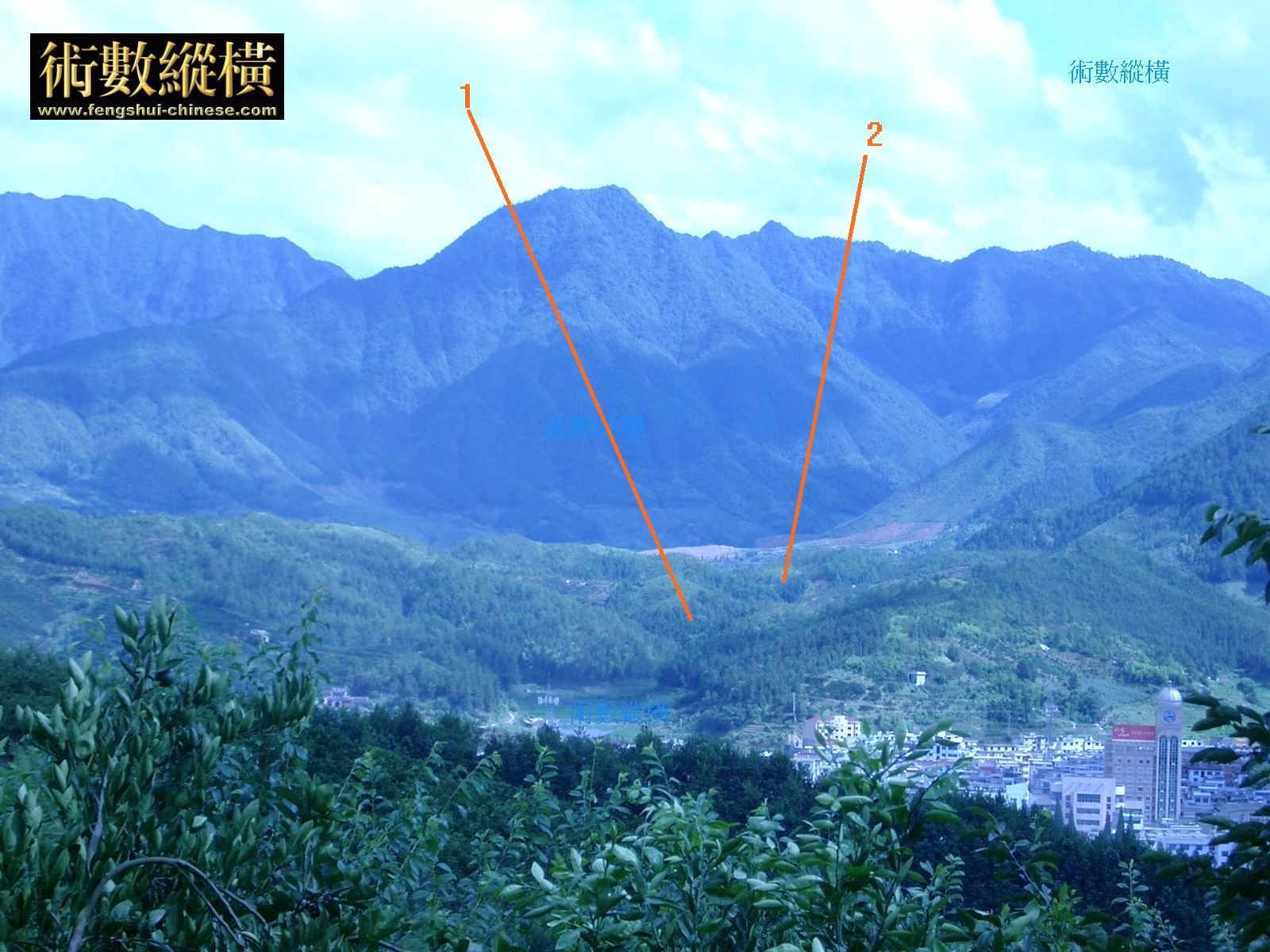 8_125_13.jpg
