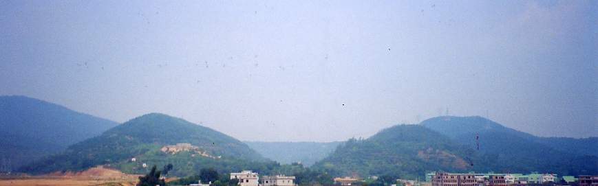 8_246.jpg