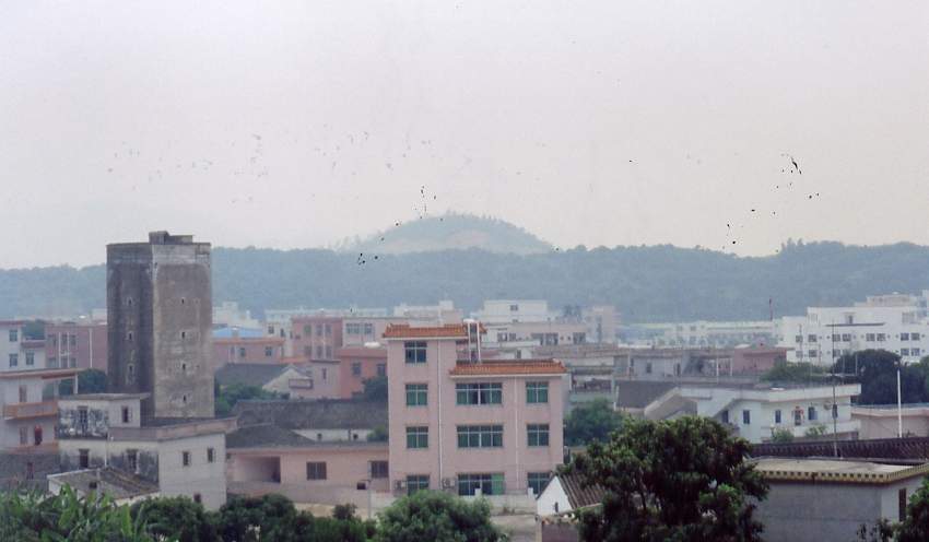 8_246_4.jpg