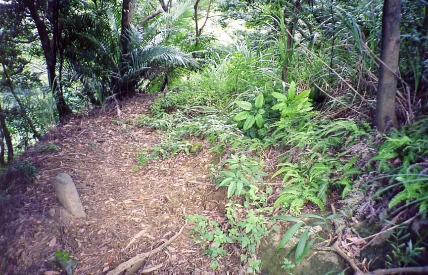 8_257_7.jpg