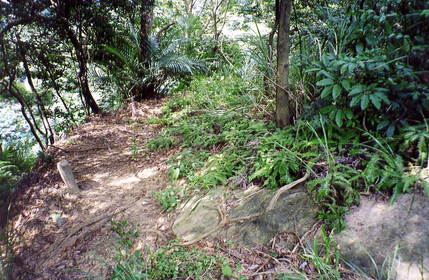 8_257_9.jpg