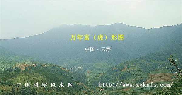 20101105234349280.jpg