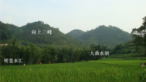 20101105234406203.jpg