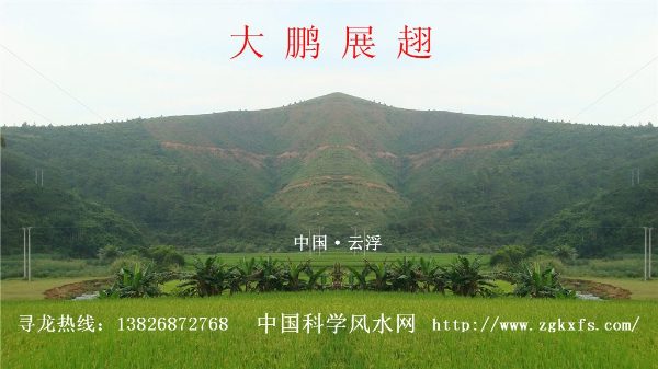20101123085409418.jpg