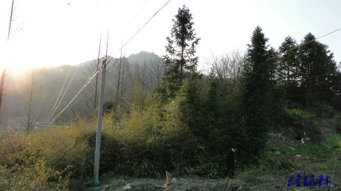 20114112342027864.jpg