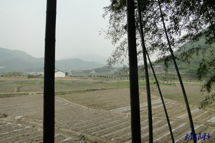 201141722433958345.jpg