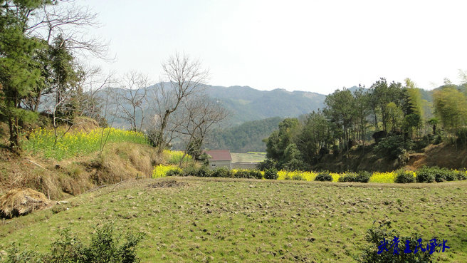 2011452325244165.jpg