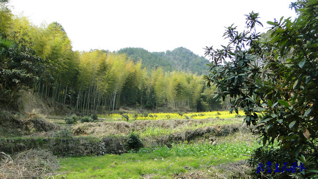 2011452327195966.jpg