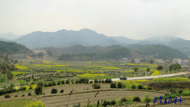 20114611122671495.jpg