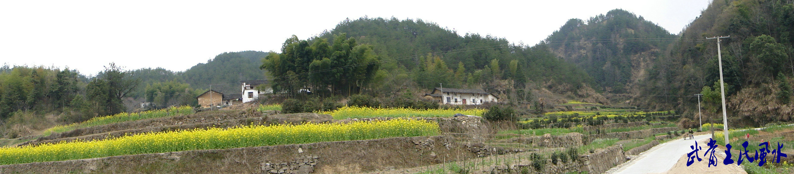 20114611134334878.jpg