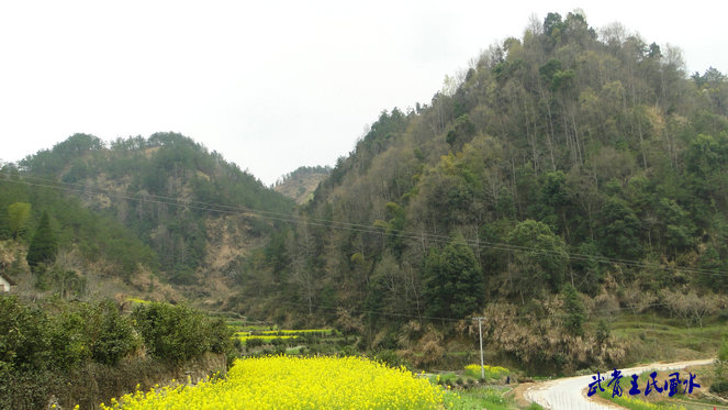 20114611145976616.jpg