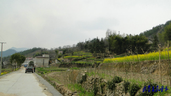 2011461125246780.jpg