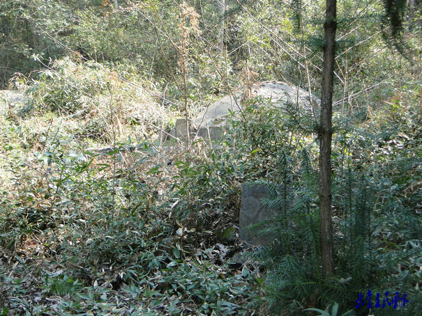 20114720115913681.jpg