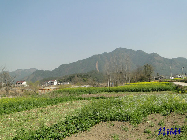 201147204842230.jpg