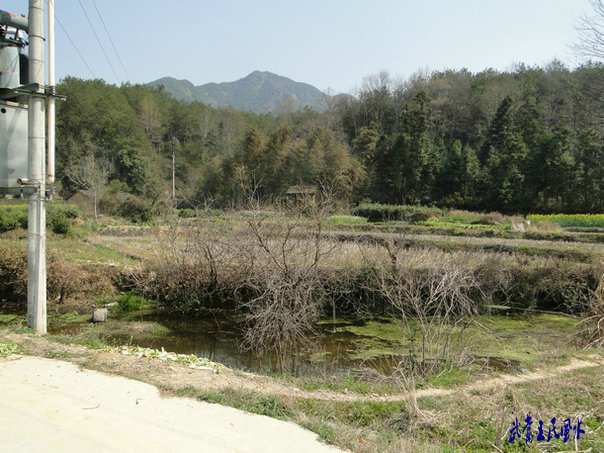 2011472071132288.jpg
