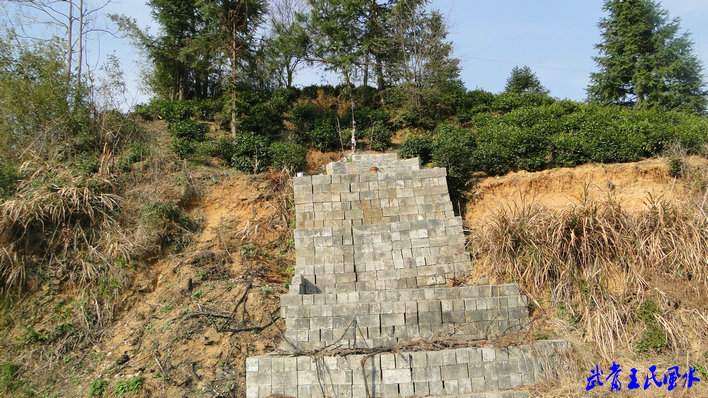 20114911175537472.jpg