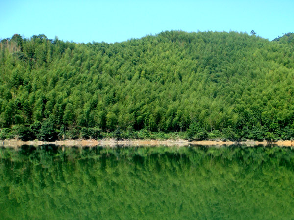 92dfce033c41492b1d9583db.jpg