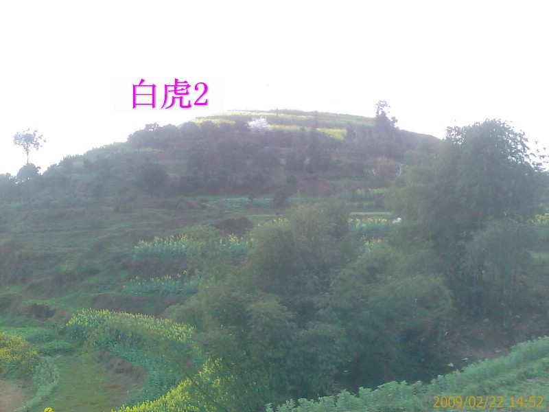 IMAGE_033.jpg