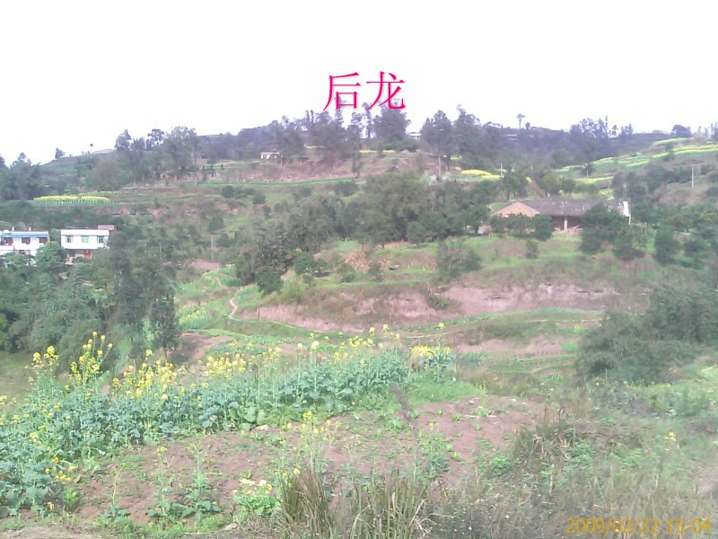 IMAGE_038.jpg