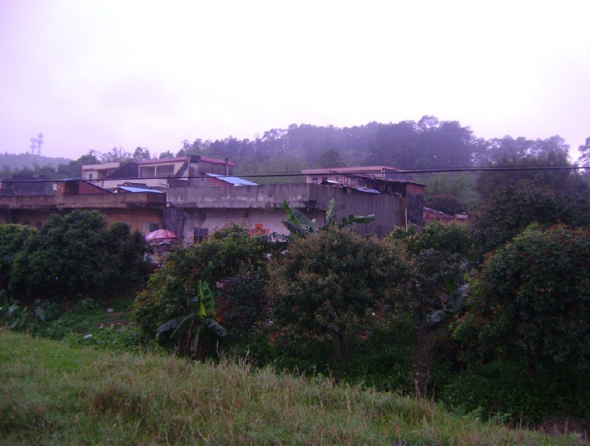 侧看后龙山.jpg