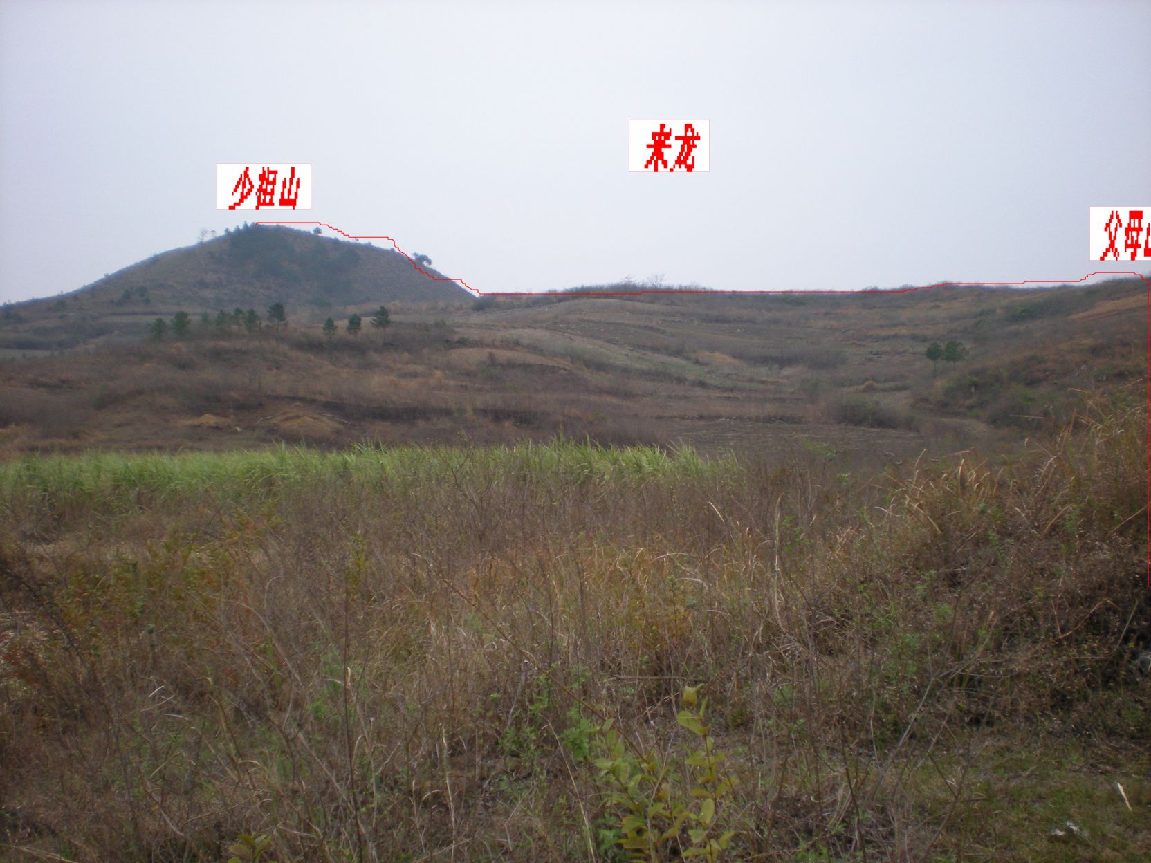 来龙2.jpg