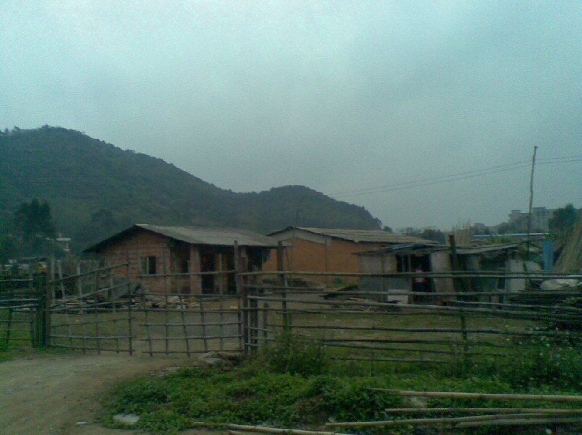 来龙1.jpg