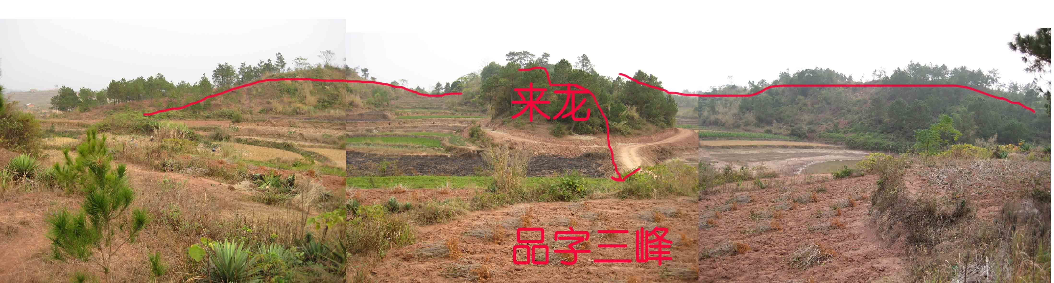 来龙.jpg