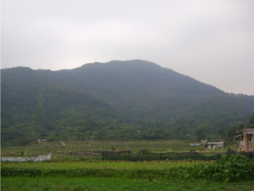 来龙穴星1.jpg