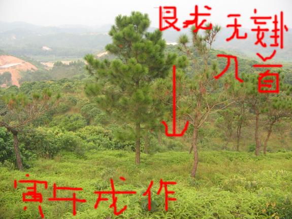 入首.jpg