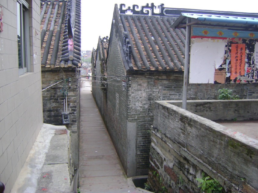 父母山顶看右侧祠堂.jpg
