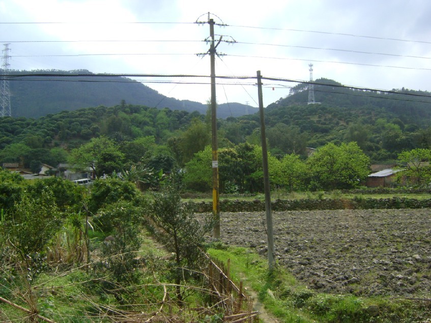 父母山.jpg