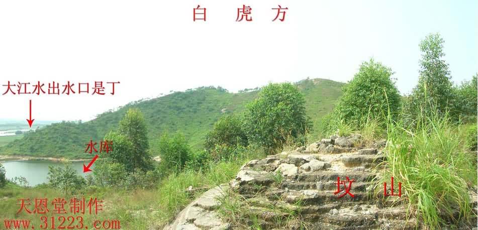 右边.jpg