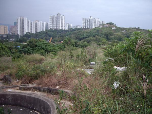 右边.jpg