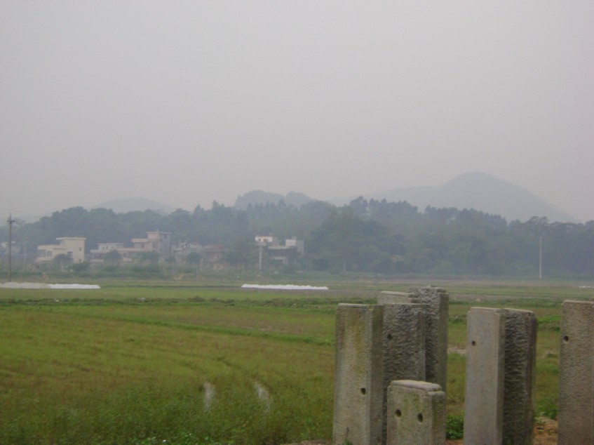 右白虎.jpg