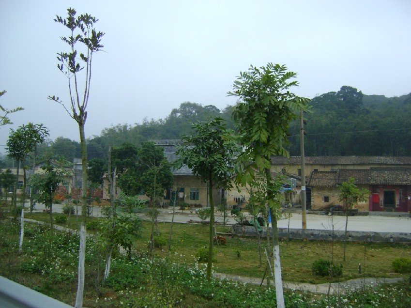 右白虎.jpg