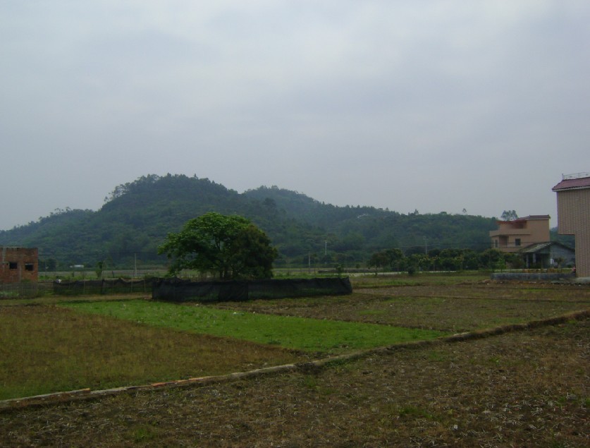 右前案.jpg