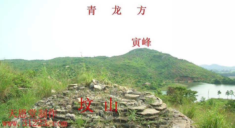左边.jpg