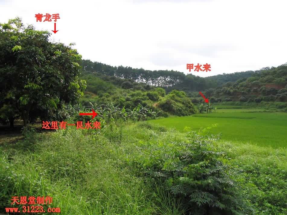左边2.jpg