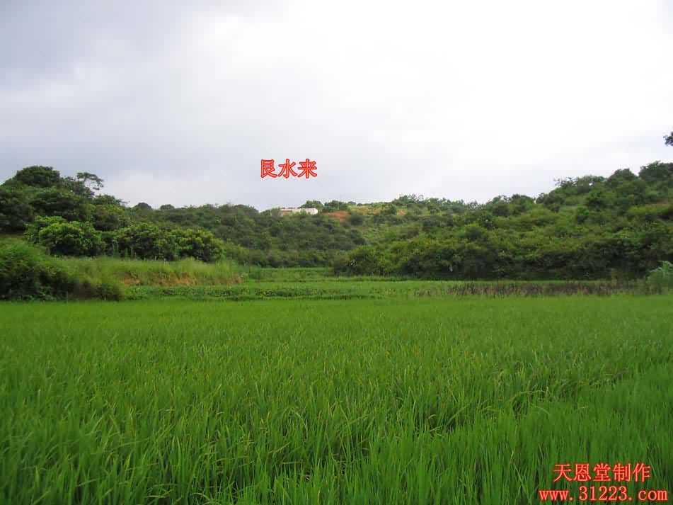 左边来水2.jpg