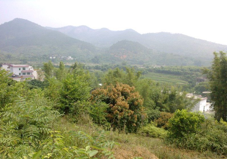 左前方水口.jpg