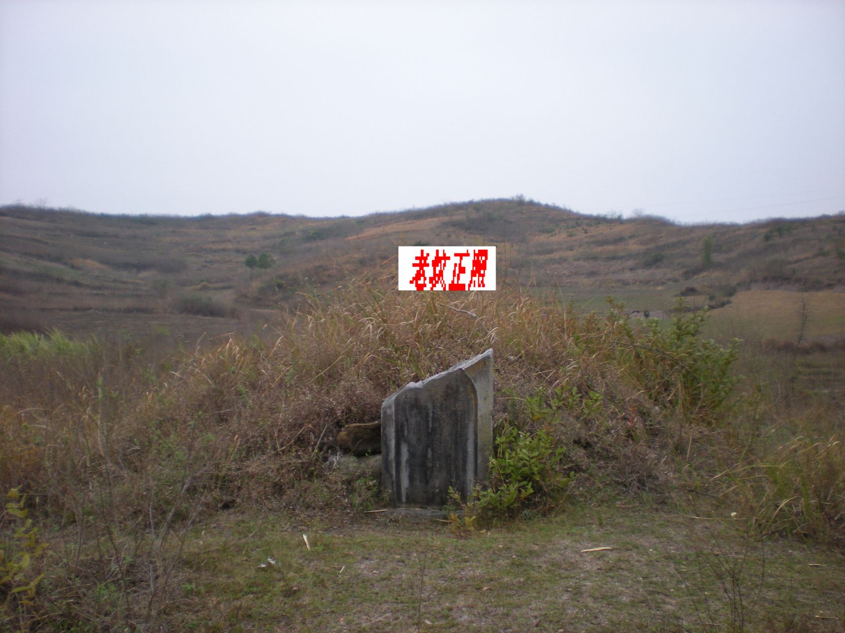 正照，坐戌兼乾右水倒左.jpg