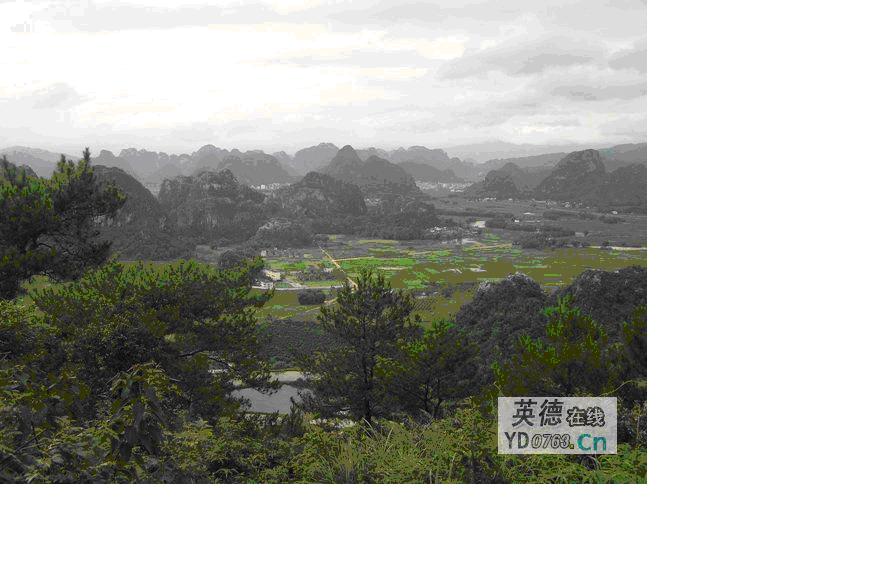 未命名2.JPG