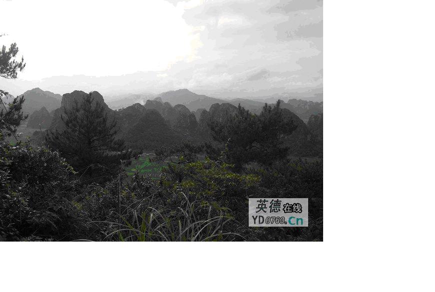 未命名3.JPG