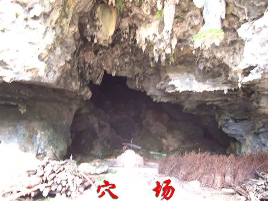 穴场1.jpg