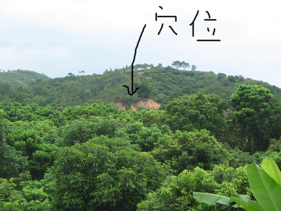 穴星.jpg